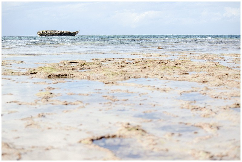 Turtle-bay-beach-watamu-10