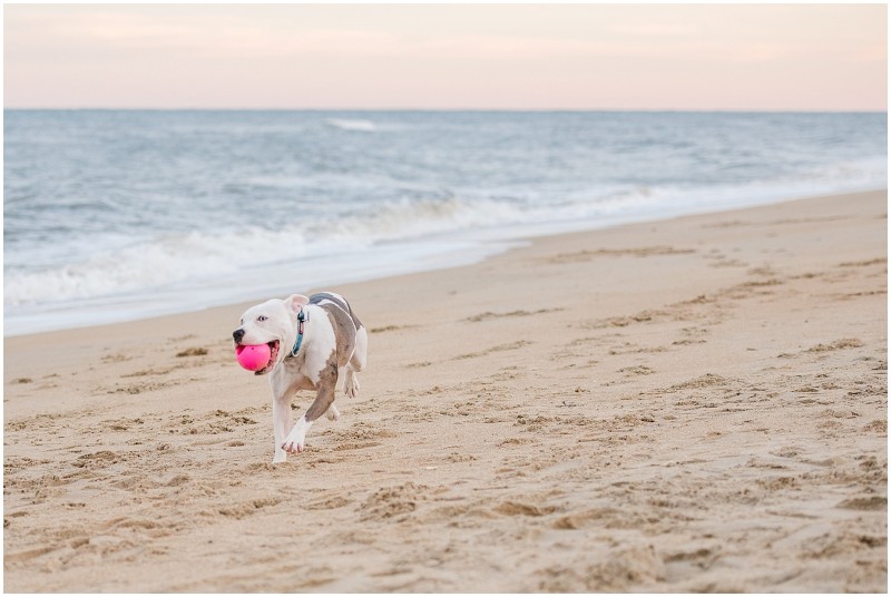 Outer-Banks-Sunset-Beach-Couple-11