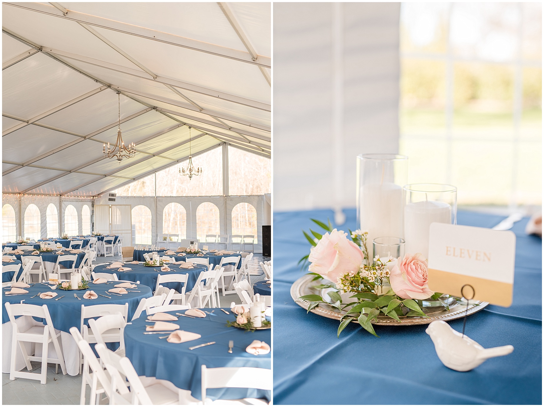 amber-grove-wedding-reception-tent