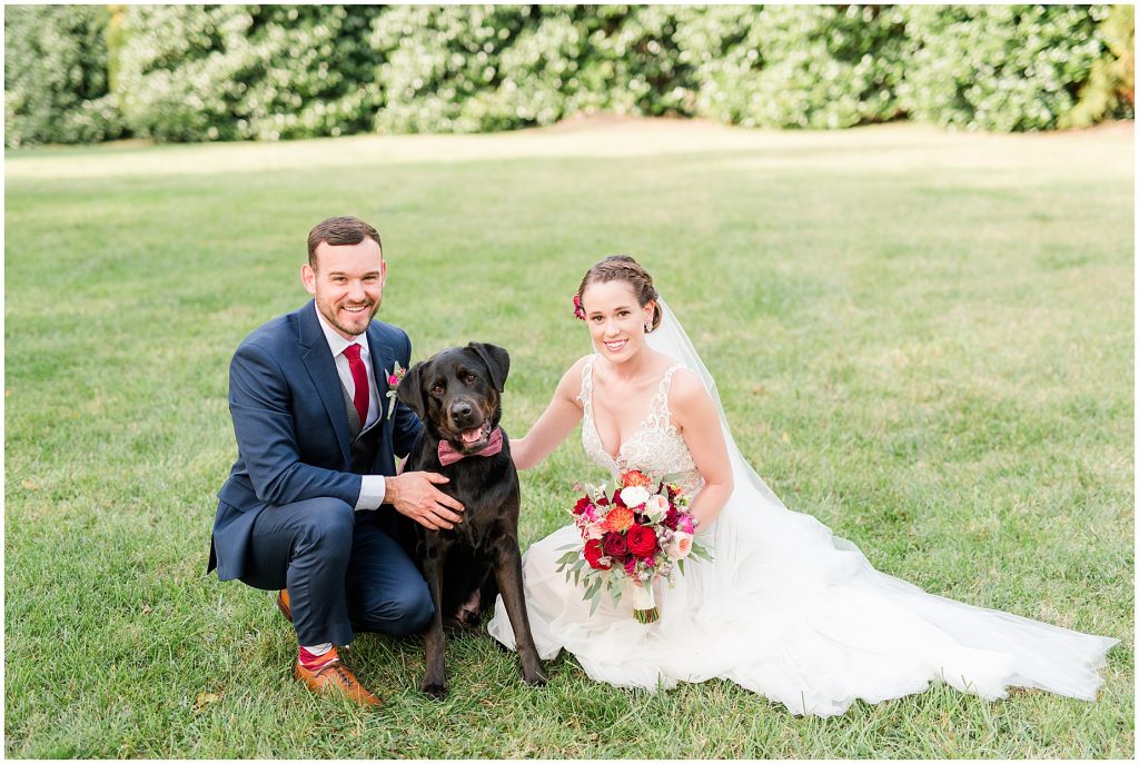 2019 wedding highlights virginia photographers amber grove bride and groom dog