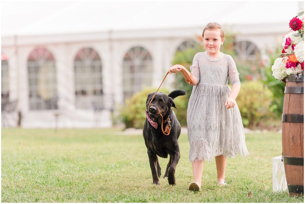 2019 wedding highlights virginia photographers amber grove ceremony details outdoor ring bearer