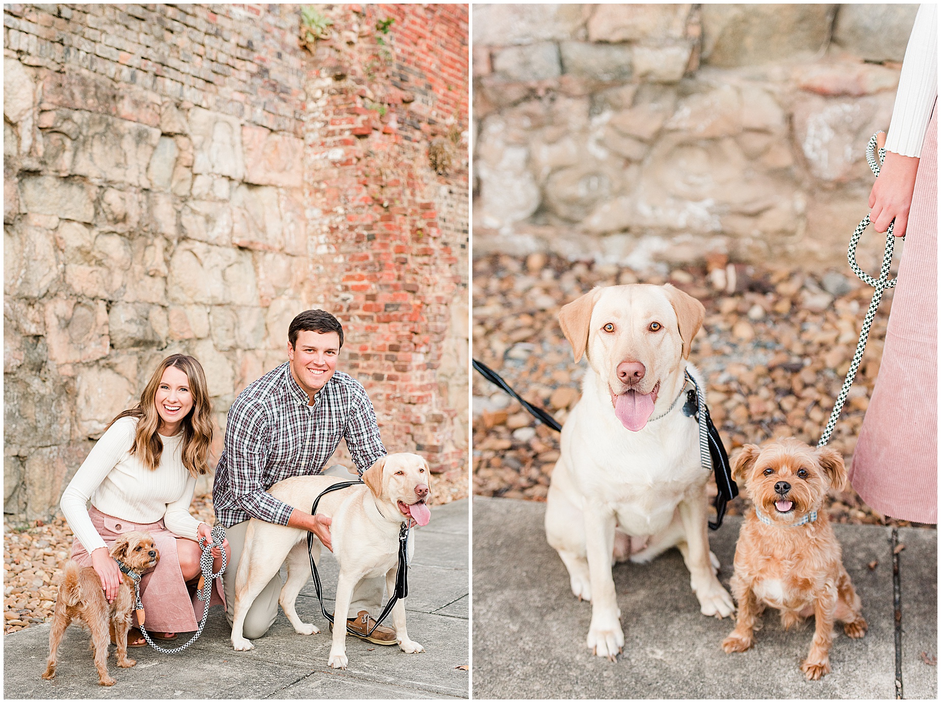 dogs Richmond engagement session 