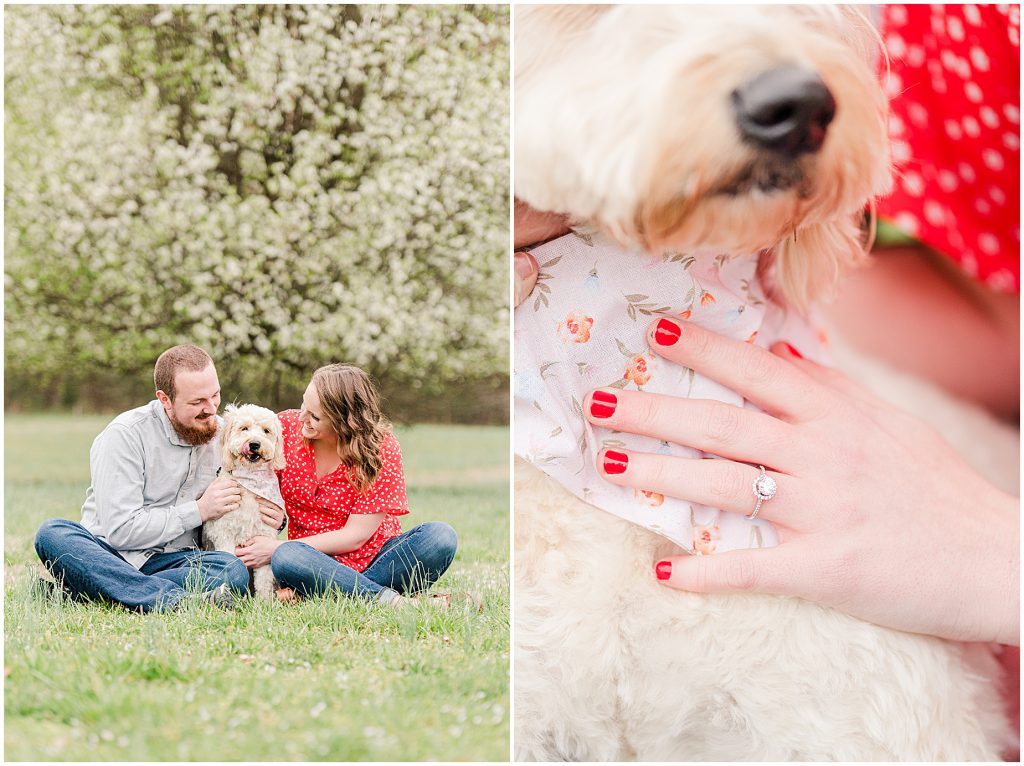 Richmond Spring Engagement Session sitting with dog and ring detail at Wisteria Farms