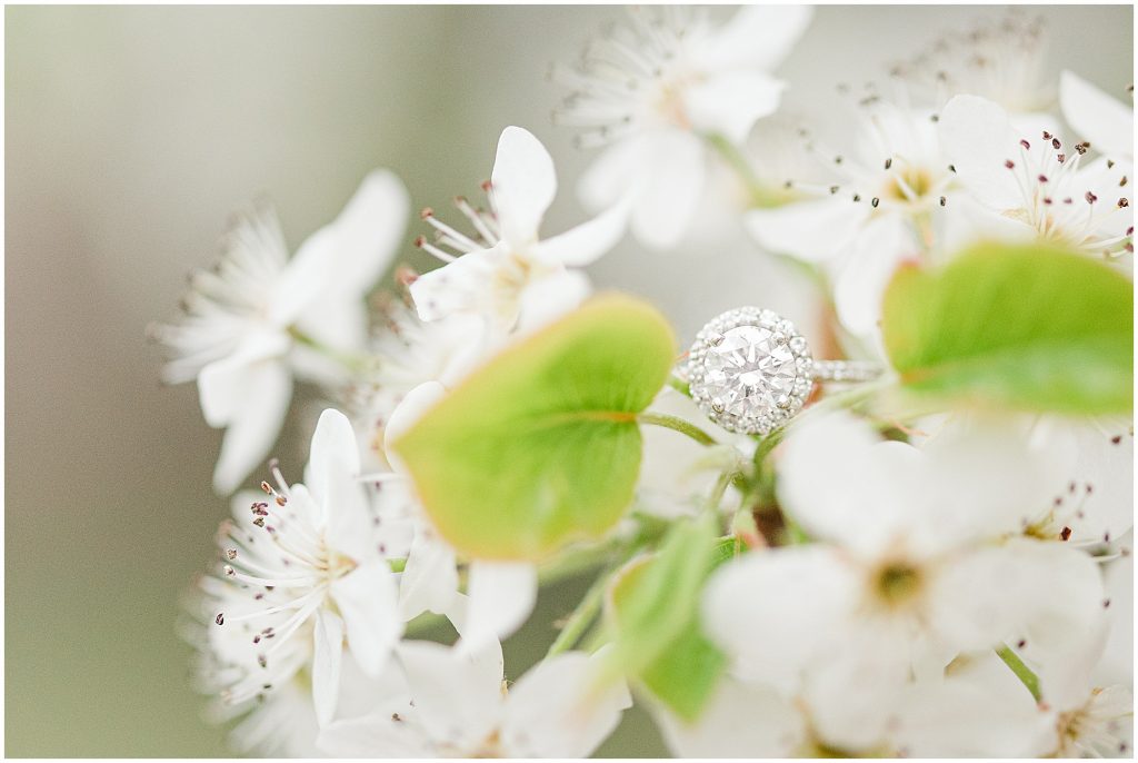 Richmond Spring Engagement Session ring and flowers at Wisteria Farms