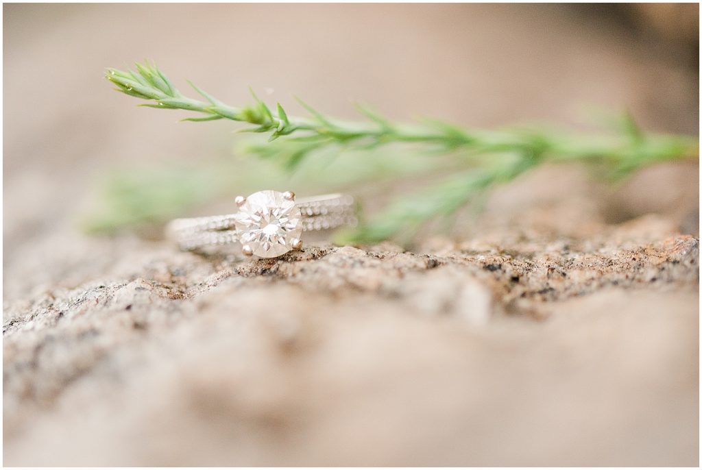 ring detail at maymont park