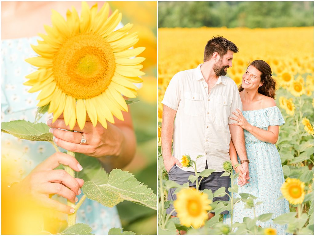 sunflower fields engagement with ring