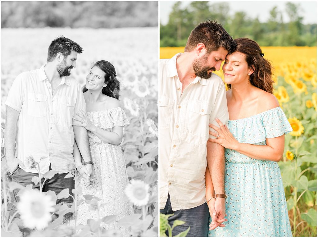 sunflower fields engagement session Alvis Farms Goochland