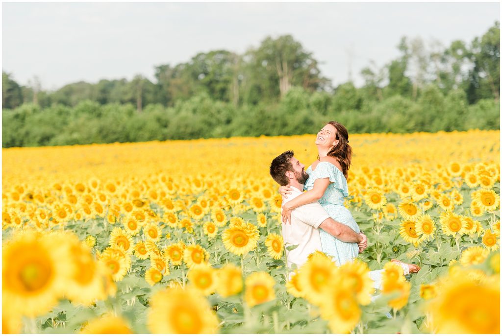 engaged couple celebrating in sunflower fields Alvis Farms Virginia