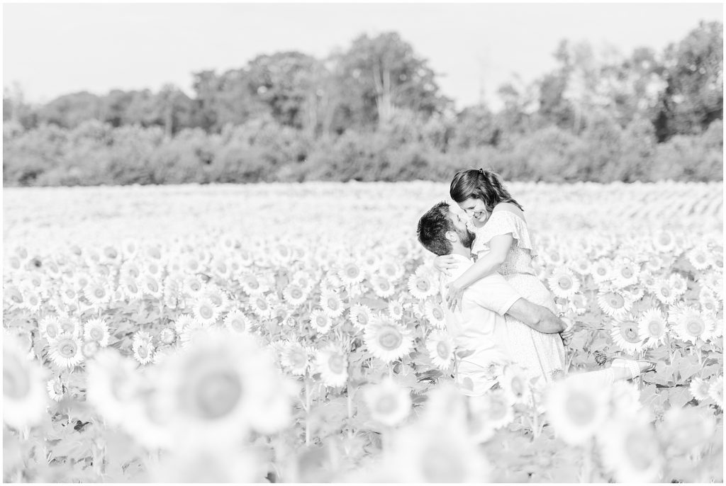 black and white sunflower fields engagement carrying