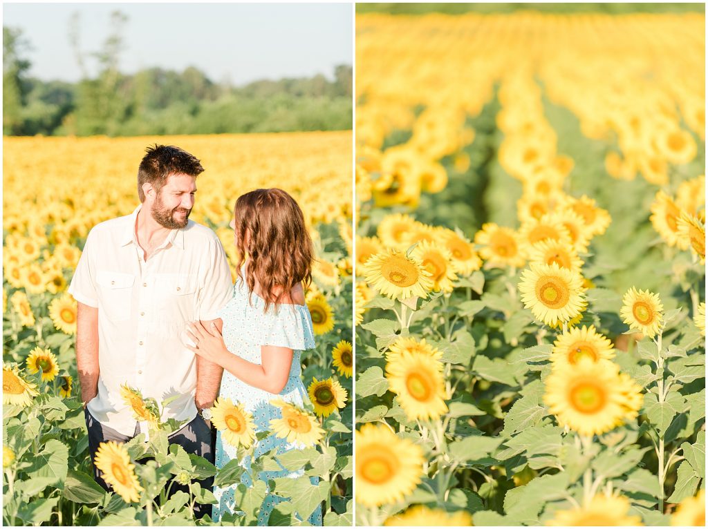 rows of sunflowers field engagement session richmond virginia
