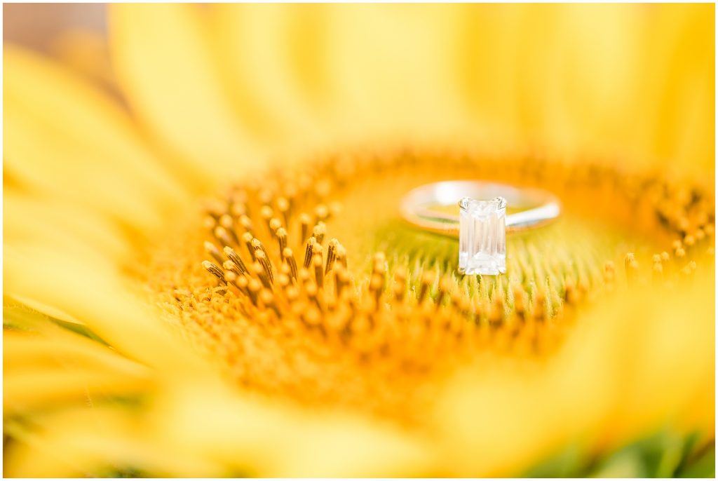 engagement ring detail on sunflower Alvis Farms