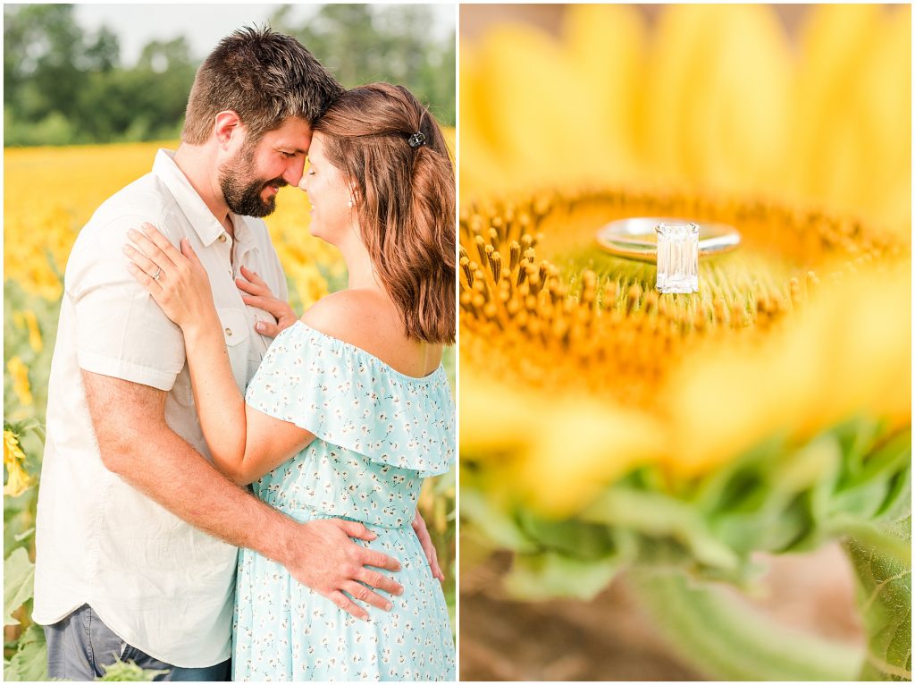 photography session in richmond virginia sunflower field 