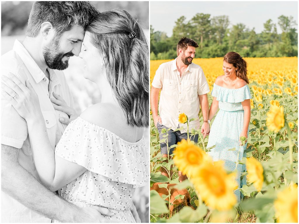 sunflower fields engagement session Alvis Farms Richmond