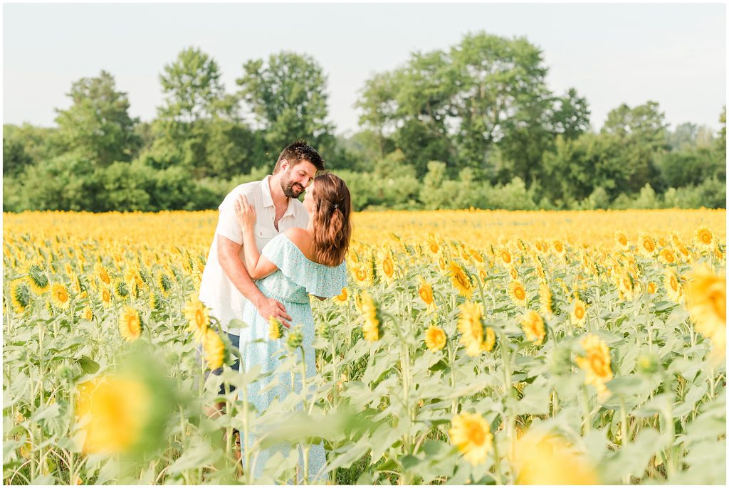 engagement couple kissing in sunflower field, richmond virginia alvis farms