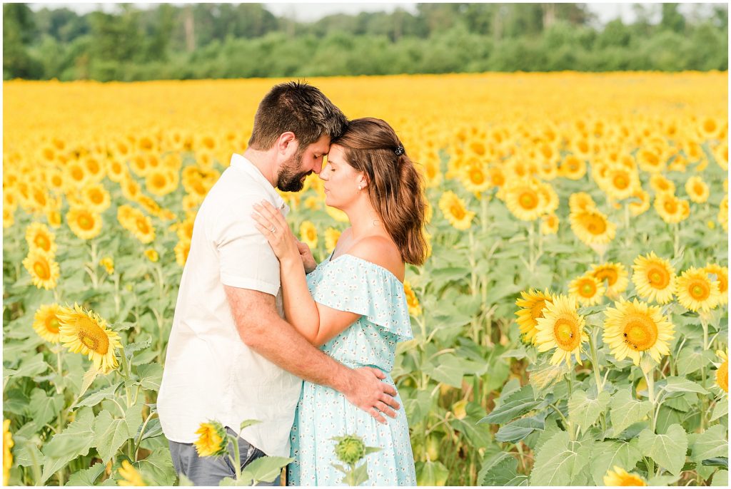 engagement couple standing in 50 acre sunflower field, short pump virginia