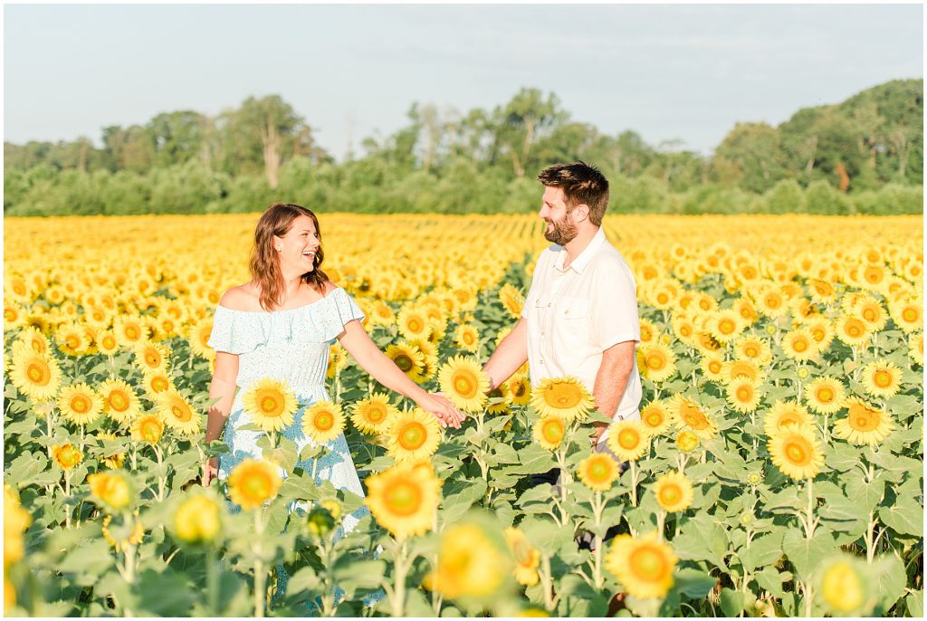 walking in sunflower field engagement session richmond virginia