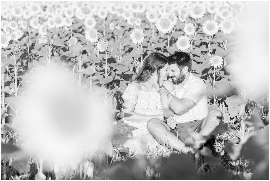 engagement session couple sitting in sunflower field goochland virginia