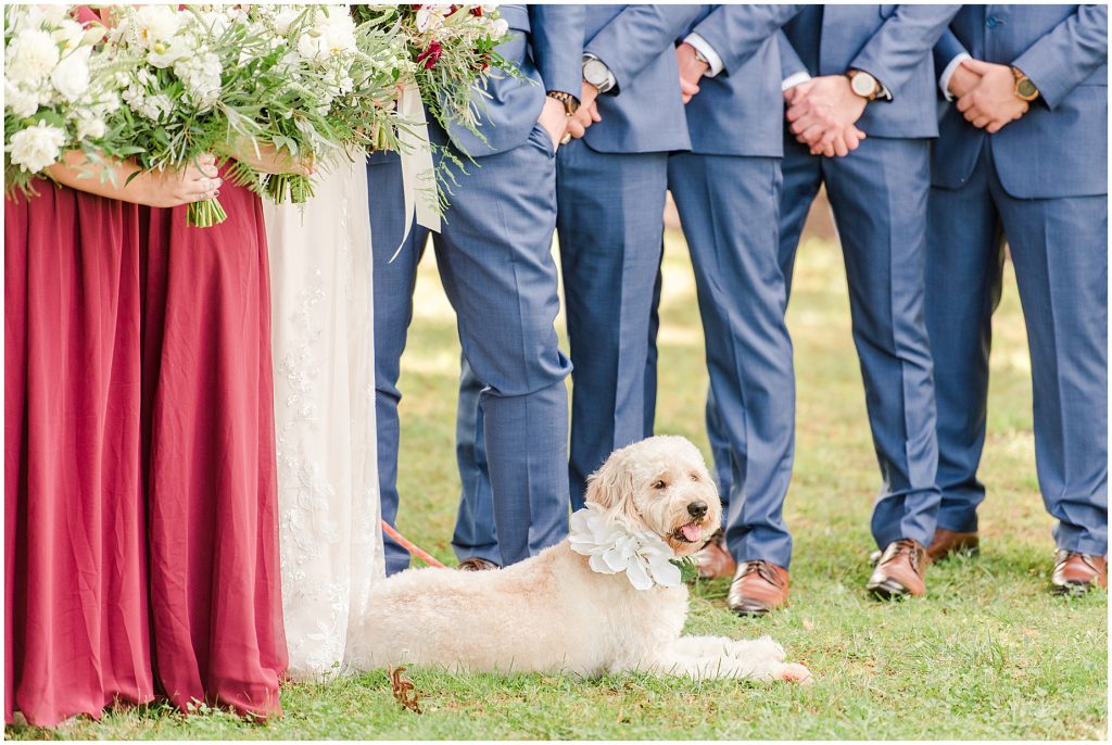 bridal party at wisteria farms blue suits and red dresses