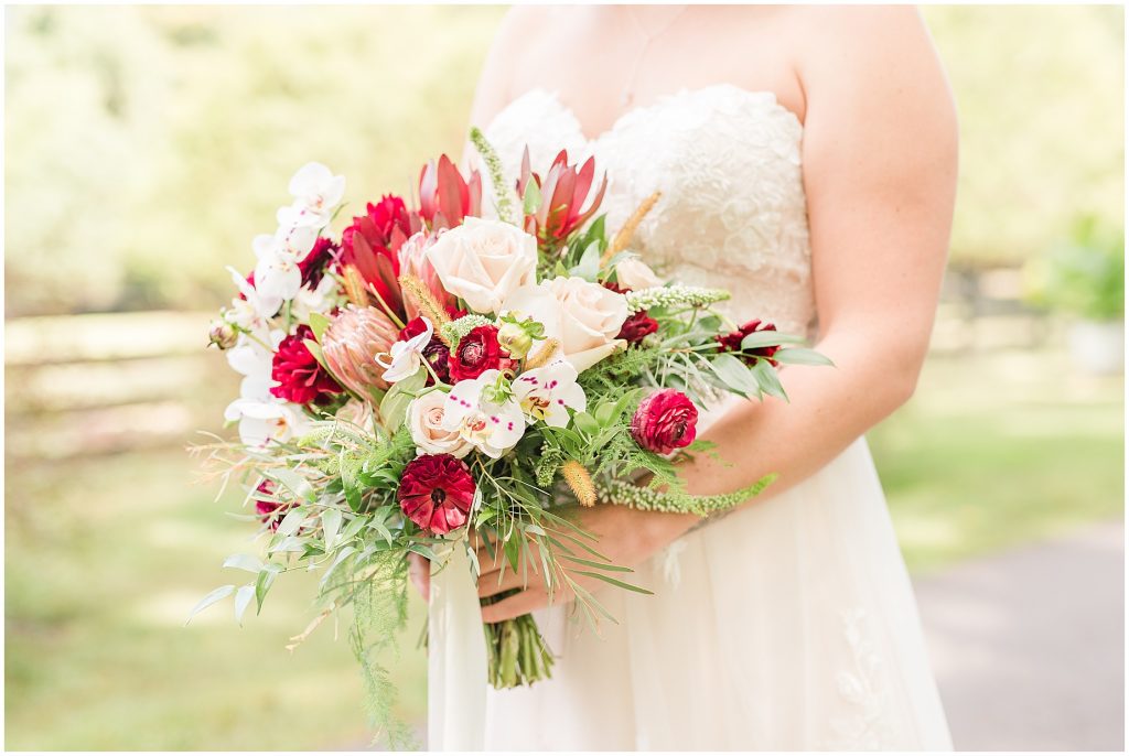 bride and groom with horses at wisteria farms richmond virginia