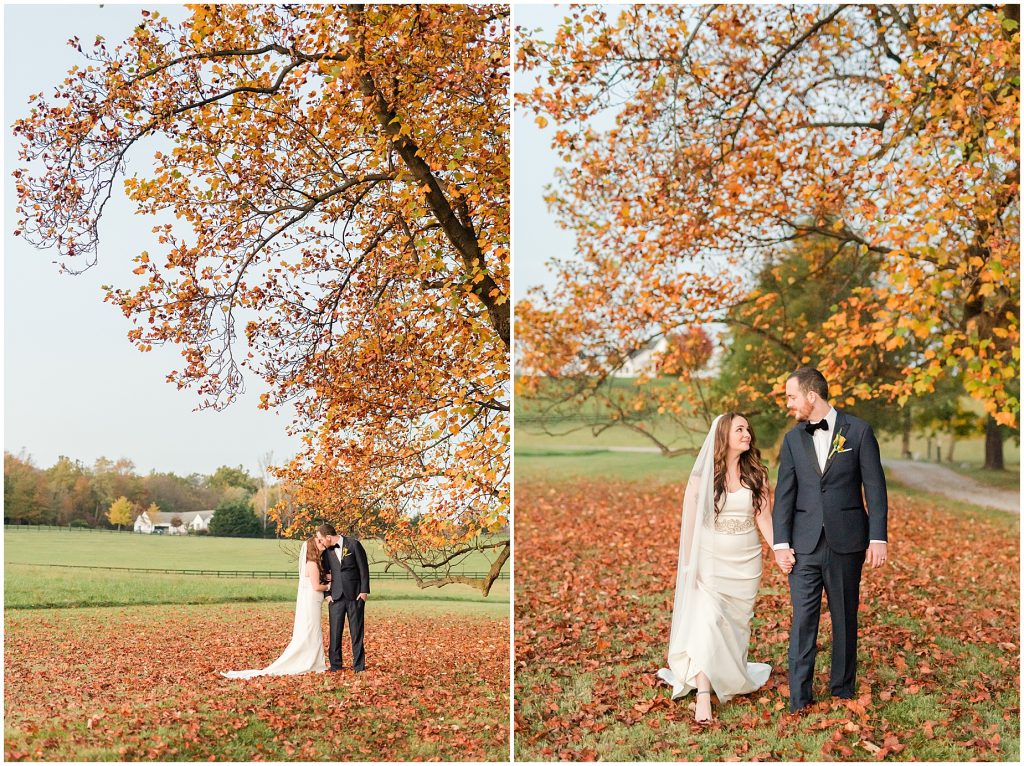fall bride and groom portraits under trees at whitehall estate in bluemont
