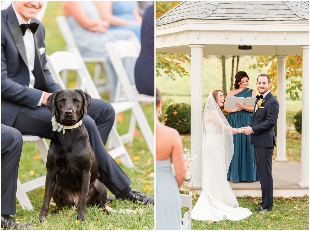 dog at mini wedding ceremony outside at whitehall estate in bluemont virginia