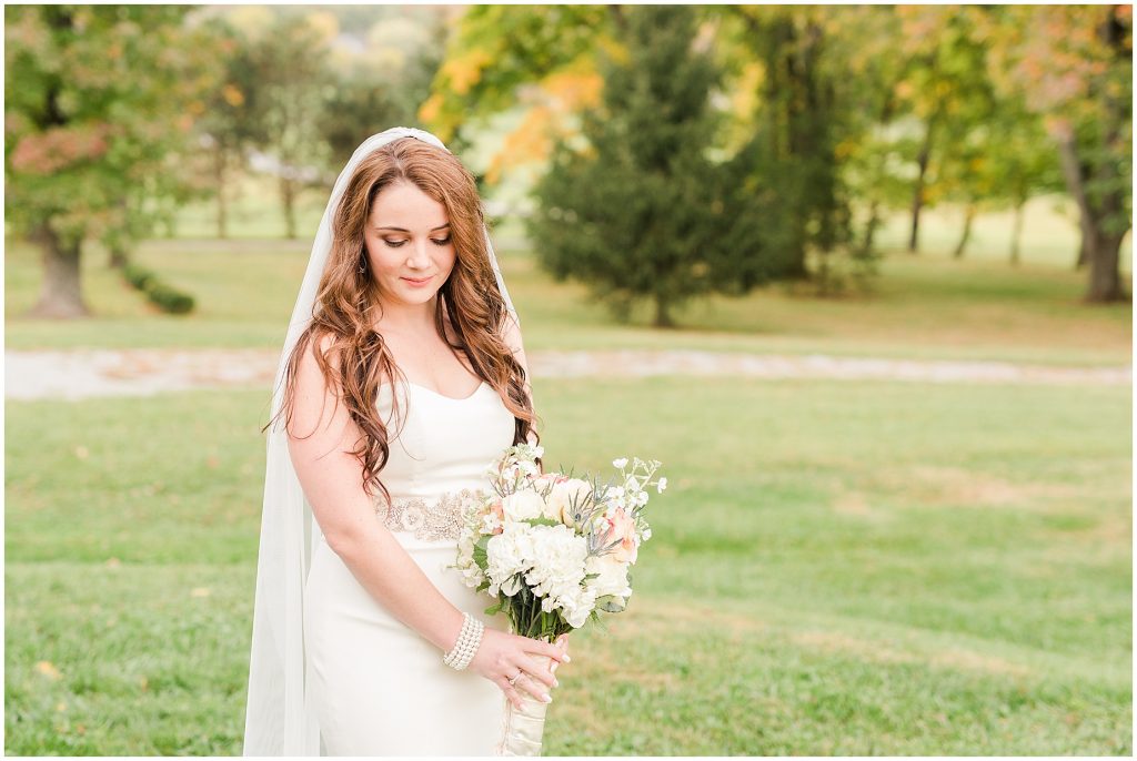 bridal portraits at whitehall estate in bluemont virginia