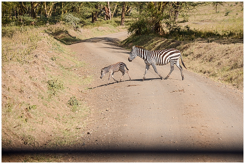 View More: http://michaelarcherphotography.pass.us/erica-africa