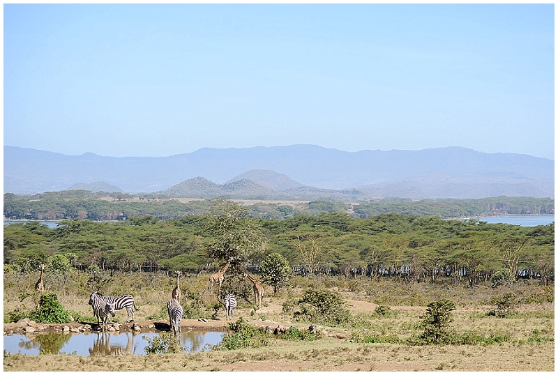 View More: http://michaelarcherphotography.pass.us/erica-africa