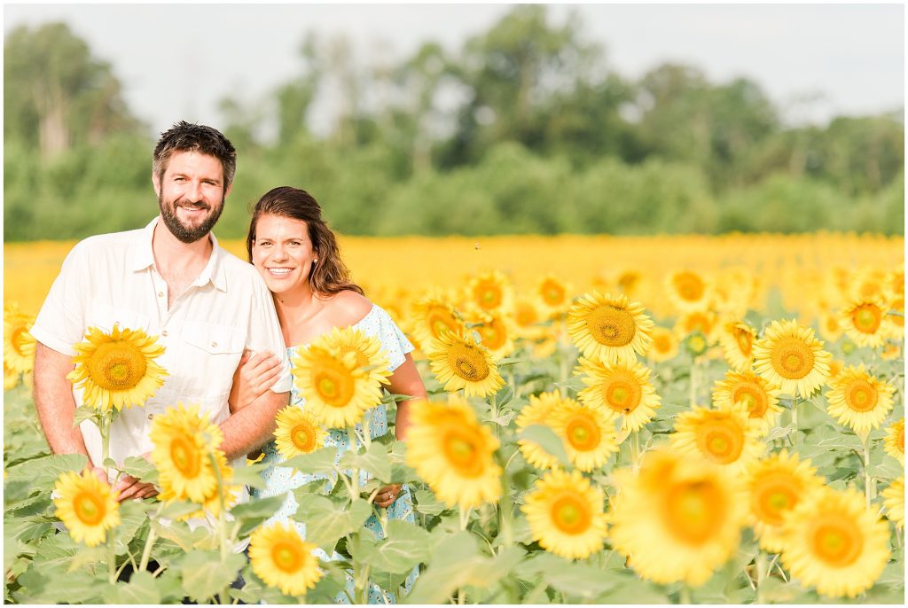 sunflower fields engagement session Alvis Farms Virginia