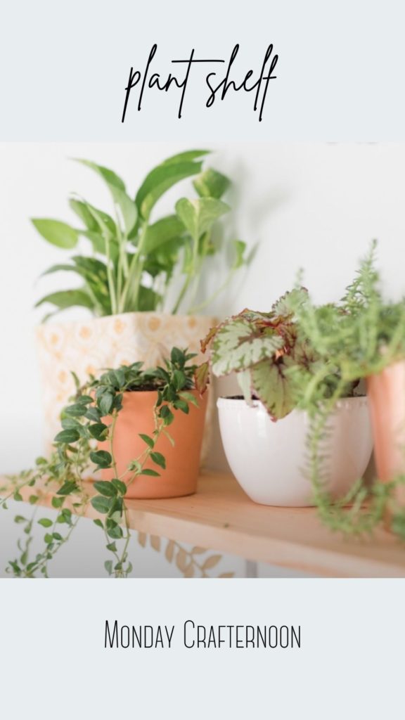 richmond-diy-projects-personal-plant-shelf